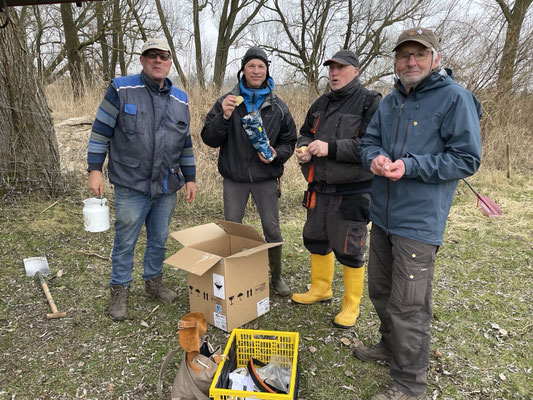 Wolfram Staudte, Jens Gutzmann, Georg Golly und Hans-Hermann Wulff nach dem ersten Arbeitseinsatz auf dem Hachedesand 