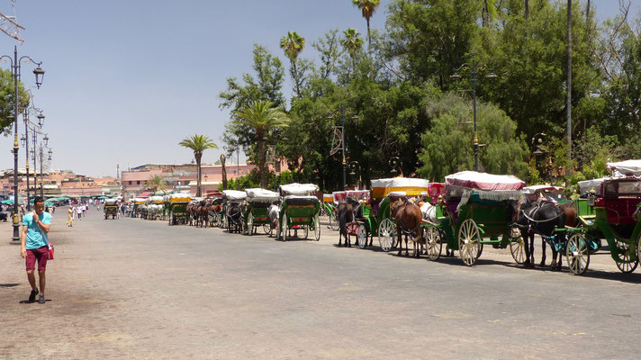 Les calèches près de la place Jemaa El Fna
