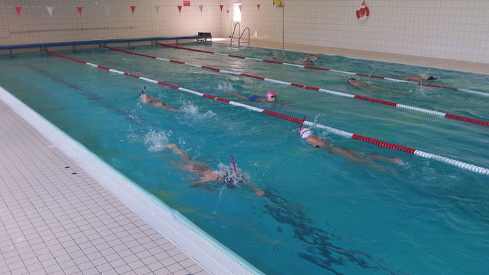 Wassertraining 