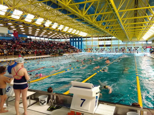 Einschwimmen