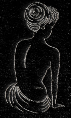 LA BELLE DE NUIT