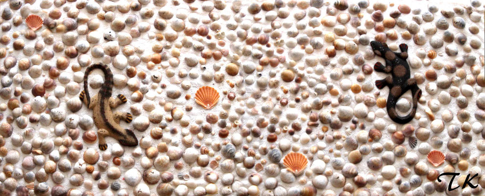 SHELL MOSAIC