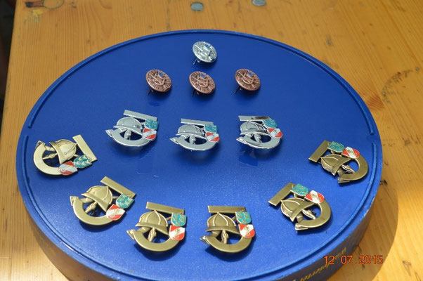 Die erworbenen Abzeichen: 3x Bronze Einzel, 1x Silber Einzel, 6x Bronze Gruppe und 3x Silber Gruppe