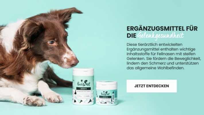 Ergängungsmittel für die Gelenkgesundheit