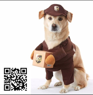 Hund-Postbote