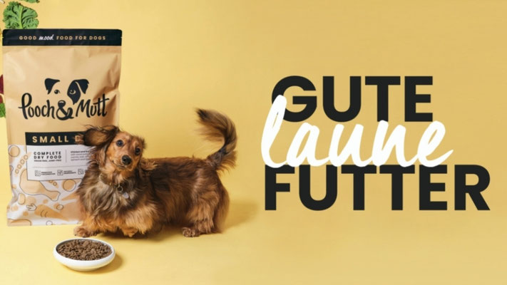 Gute-Laune Futter