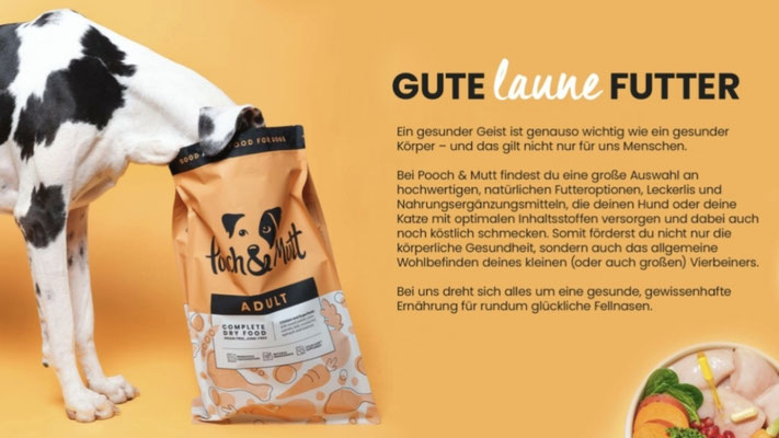 Ein gesunder Geist ist genauso wichtig wie ein gesunder Körper
