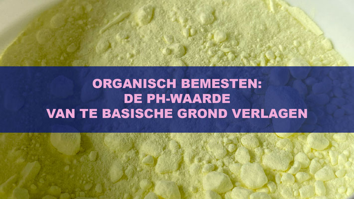 Organisch Bemesten: De pH-Waarde Van Te Basische Grond Verlagen
