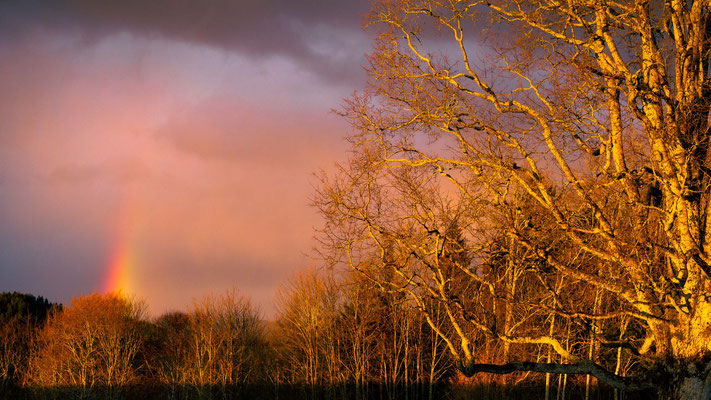 Gelbes Licht mit Regenbogen