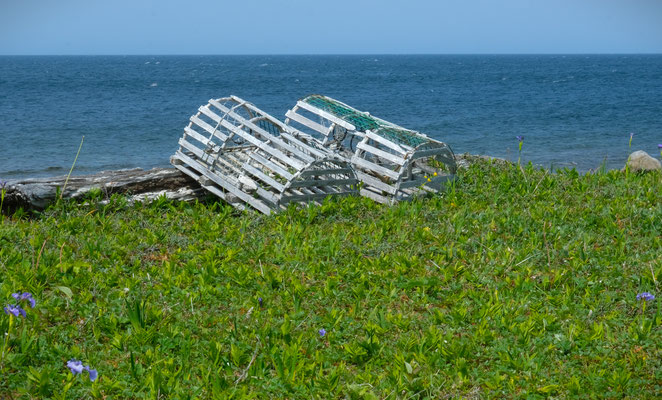 Point Riche Penninsula Trail