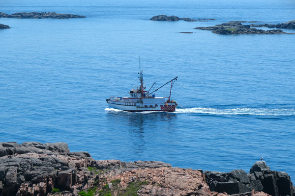 einlaufender Jakobsmuscheltrawler