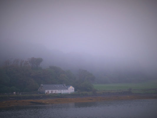 Canna Island