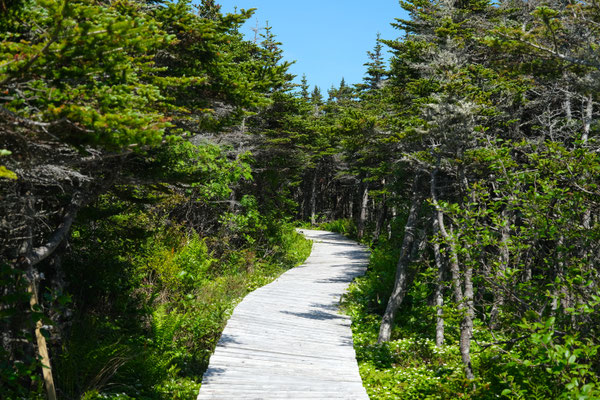 Ramea Boardwalk