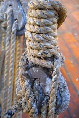 das war harte Knochenarbeit auf der Matthew