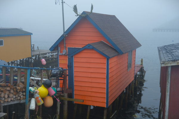 Nebelstimmung am Hafen