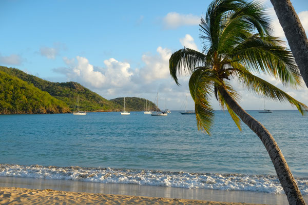 Ankerplatz Carlisle Bay