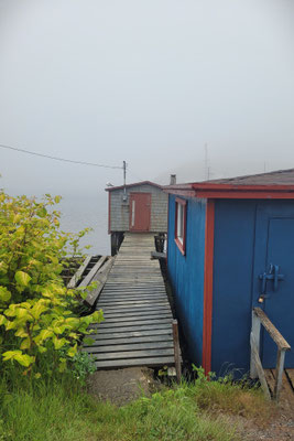Nebelstimmung am Hafen