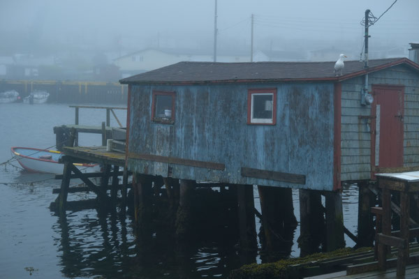 Nebelstimmung am Hafen
