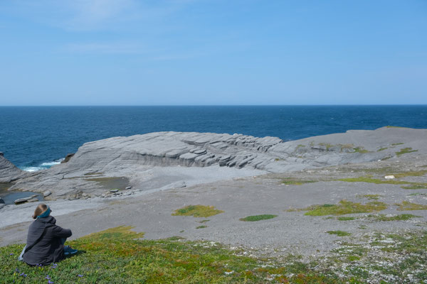 Point Riche Penninsula Trail