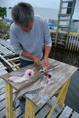 sehr bequemer Platz zum Fisch Ausnehmen