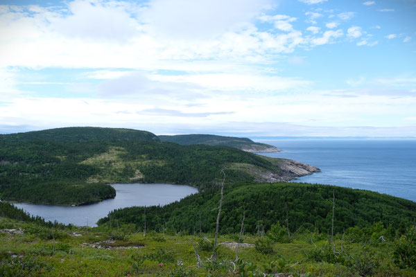 Picknickplatz mit Aussicht und ohne Moskitos!