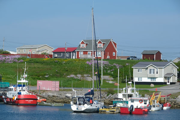 bunter Hafen Port aux Choix