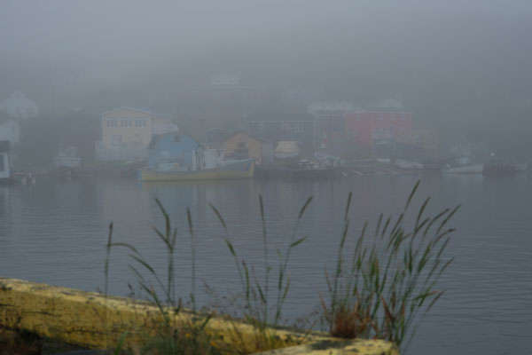 schöne Stimmung, trotz Nebel