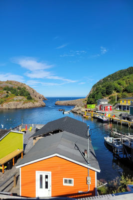 Fis herdorf Quidi Vidi