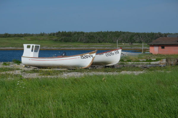 Boote überall