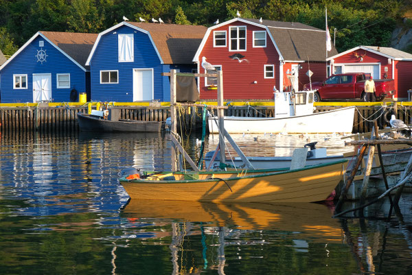 wunderbare Abendstimmung in Petty Harbour