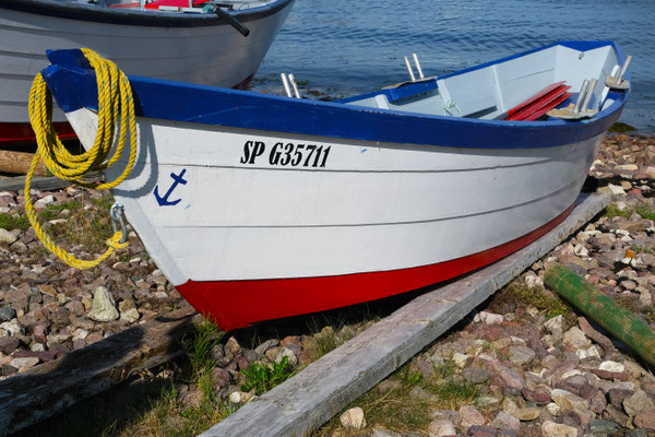 Dory in den Farben der Drapeau Tricolore