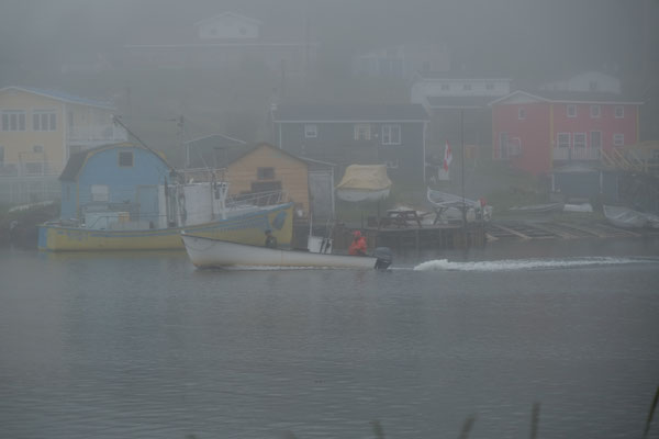 schöne Stimmung, trotz Nebel