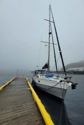 Nebelstimmung am Hafen