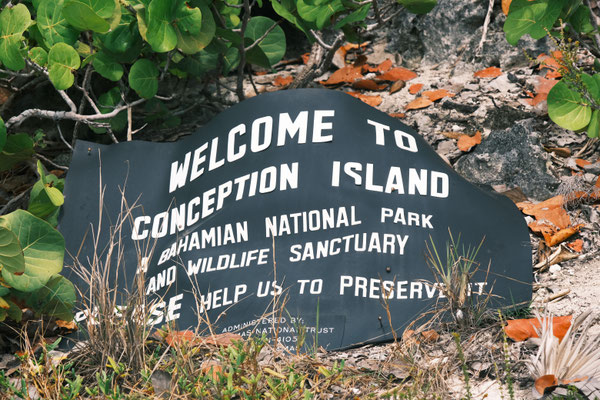 Conception Island