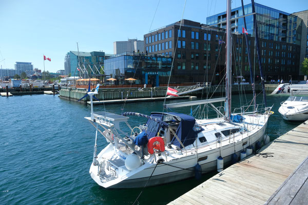 Waterfront Marina Halifax