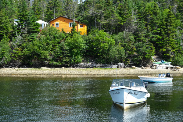 Brians Cabin liegt sehr idyllisch