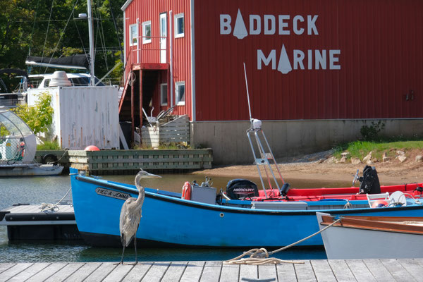 am Hafen von Baddeck