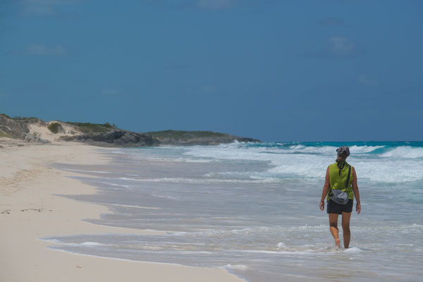 Traumstrand an der Luvseite von Stocking Island