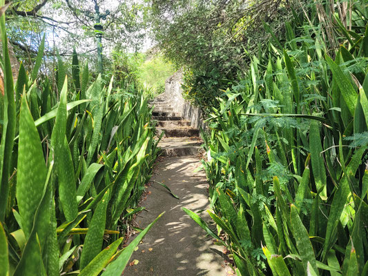 auf dem "slave path"