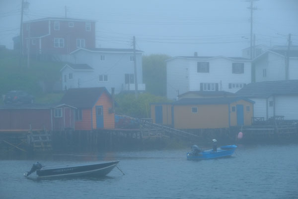Nebelstimmung am Hafen