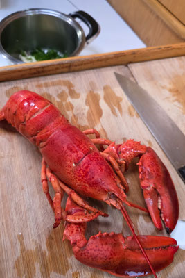 Es ist Lobster Season!
