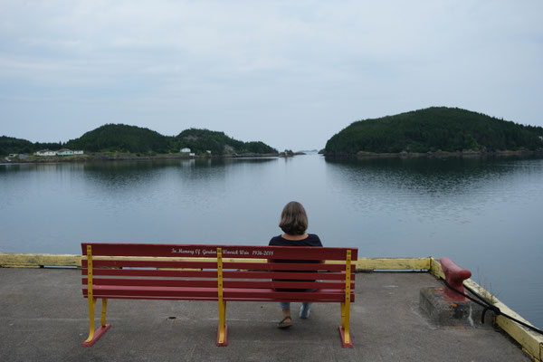 das Bankerl am Steg mit Megaaussicht