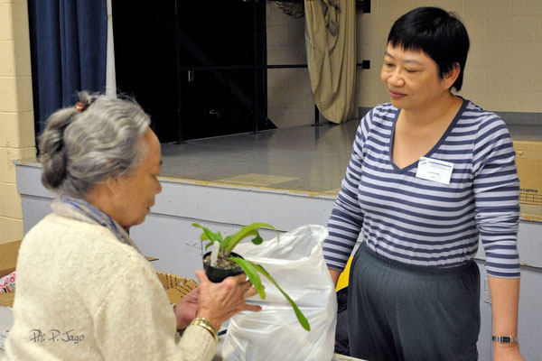 Maureen Mark (on right), our Growing Team Leader for Streptocarpus