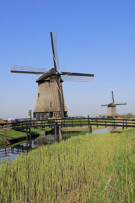 Windmühlen, Niederlande / ch007615