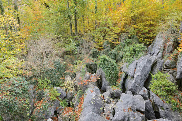 Felsenformationen im Herbst, Nordrhein-Westfalen / ch196843