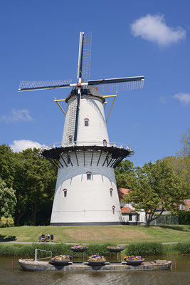  Windmühle, Middelburg, Zeeland, Niederlande / ch188759