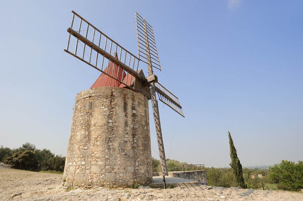 Moulin de Daudet, Provence, Frankreich / ch107674