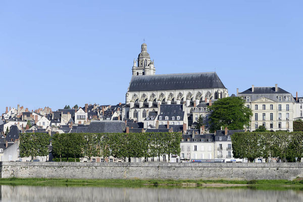 Kathedrale Saint-Louis, Blois, Frankreich / ch147781