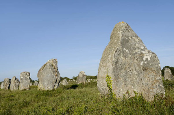 Megalithen, Alignements du Menec, Carnac, Bretagne, Frankreich / ch148139
