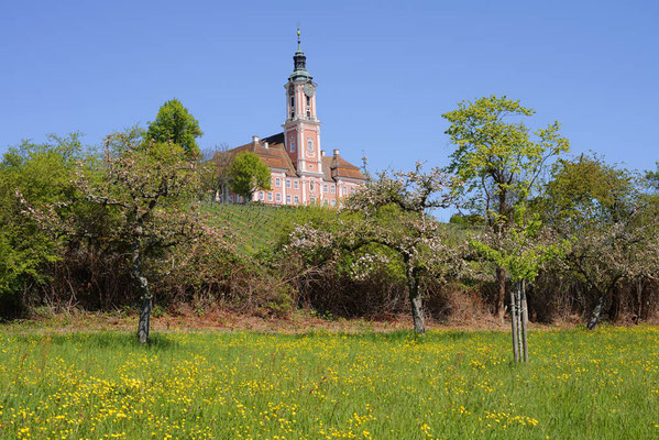 Wallfahrtskirche Birnau / ch199989